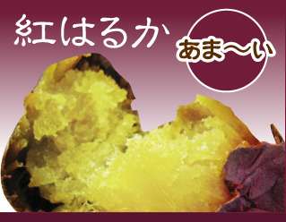 【冷凍】焼き芋【紅はるか】【大粒】1.2㎏入り